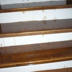 placari scari interioare pe structura de beton cu trepte si contratrepte din lemn_3